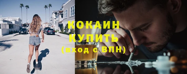мяу мяу мука Гвардейск