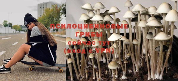 гашик Киренск