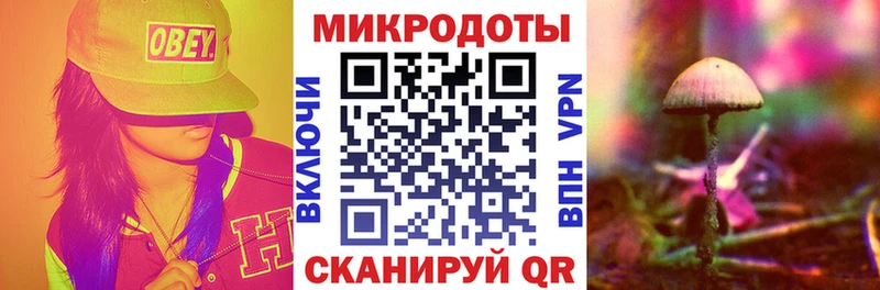 кракен ONION Кимовск Галлюциногенные грибы Cubensis