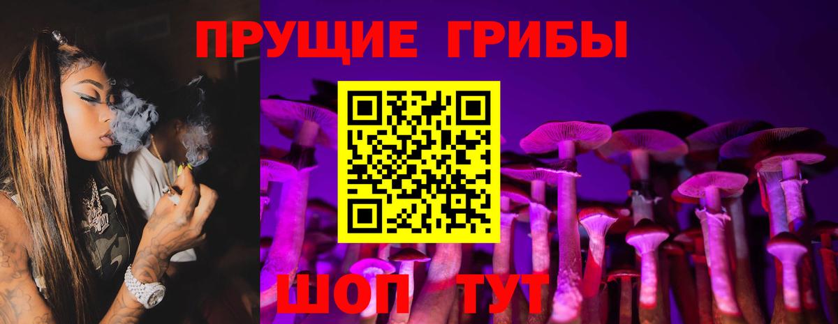 Галлюциногенные грибы GOLDEN TEACHER  Вход с VPN  Кимовск 