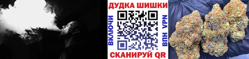 darknet Telegram  магазин  наркотиков  Кимовск  Шишки марихуана White Widow  mega вход 